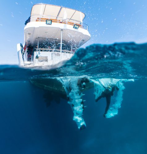 Liveaboard