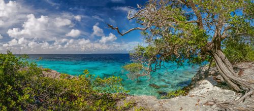 Coastline of Bonaire