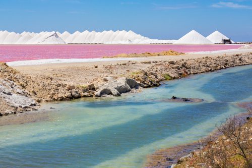 Bonaire Zoutpannen