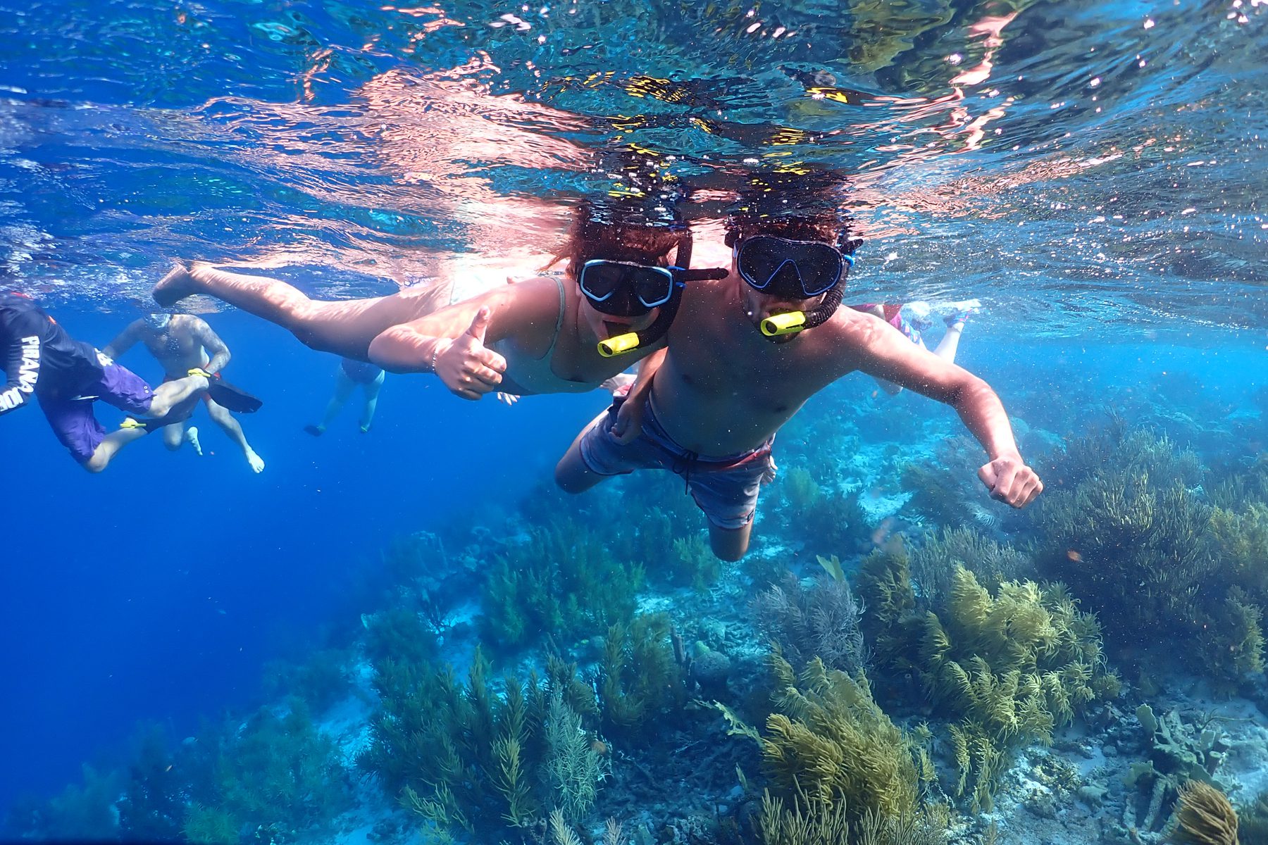 Snorkelen op Bonaire