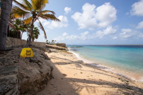Bonaire Dive Site Bari Reef
